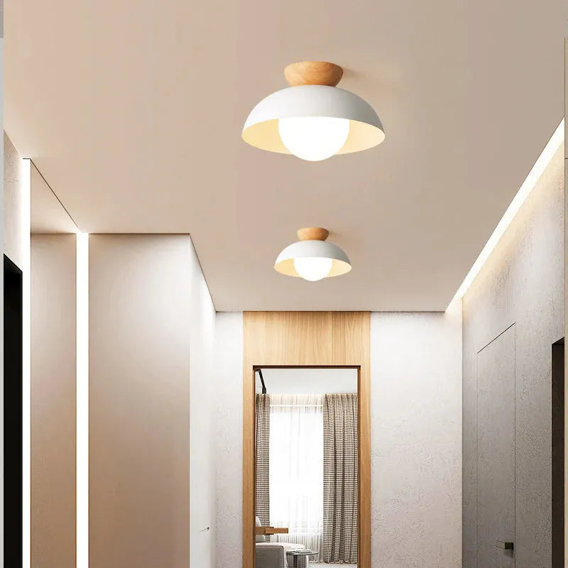 Modern Dome Flush Mount Ceiling Light