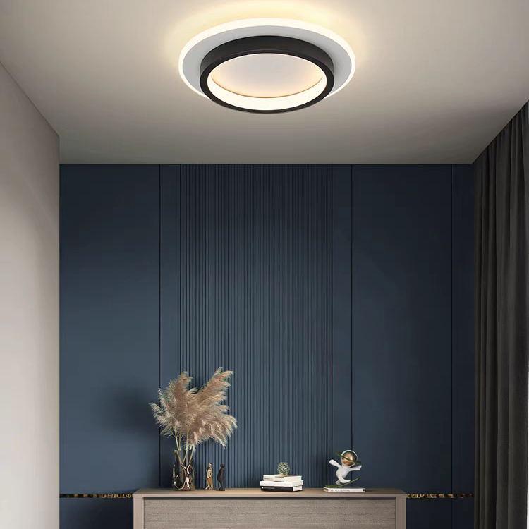 Modern Flush Mount LED Ceiling Light
