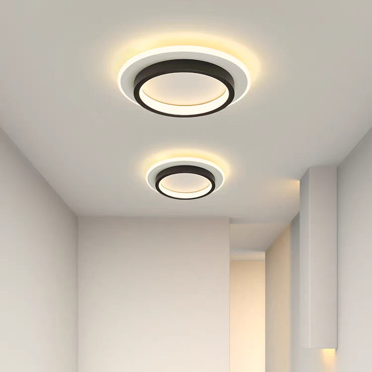 Modern Flush Mount LED Ceiling Light