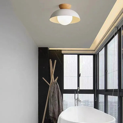 Modern Dome Flush Mount Ceiling Light