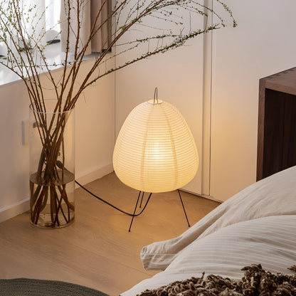 Modern Tripod Floor Lamp
